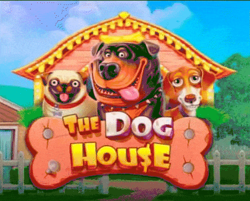 play The Dog House in onlyspins casino